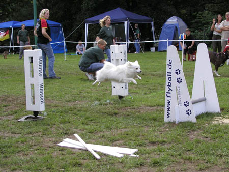 hagen2006